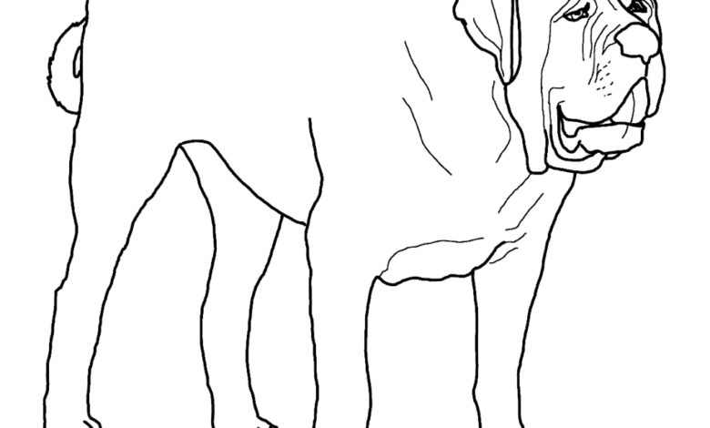 Old Alabai Dog Coloring Page