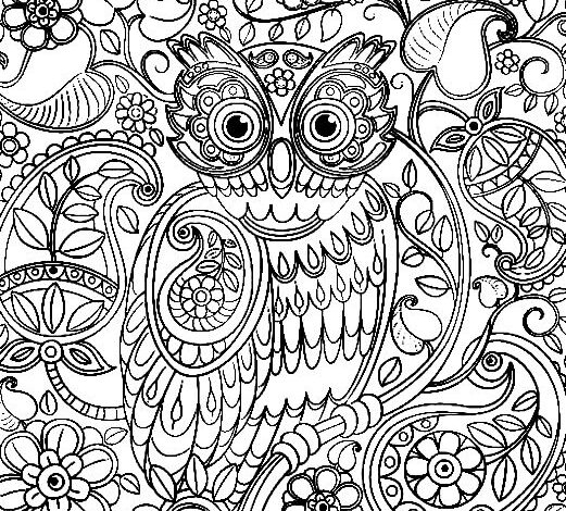 Paisley Pattern Owl Coloring Page