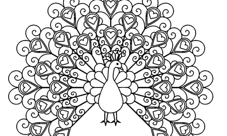 Peacock Coloring Page