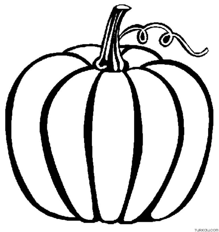 Pumpkin Drawing Coloring Page » Turkau