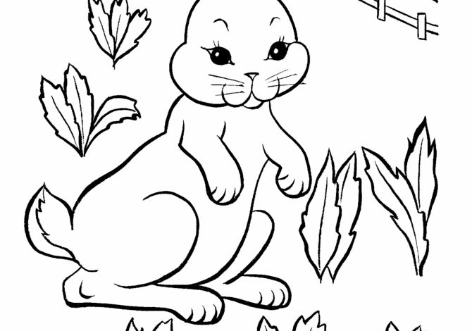 Rabbit Coloring Page