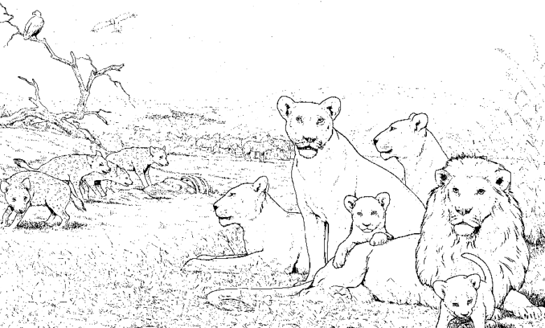 Realistic Animals Coloring Page