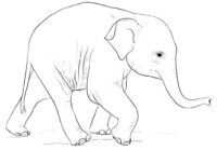 Realistic Baby Elephant Drawing Coloring Page