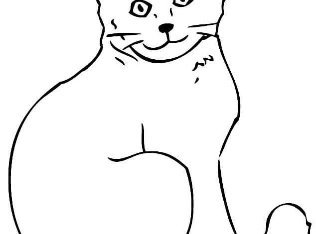 Realistic Cat Coloring Page