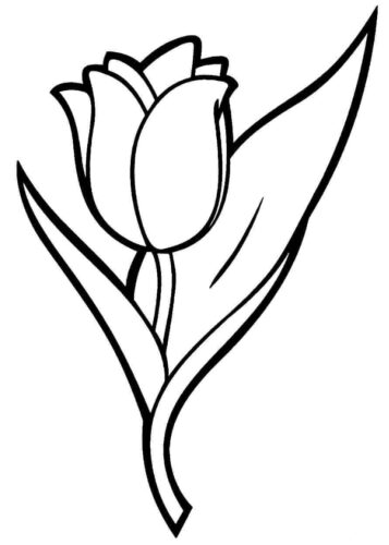 Rose Flower Coloring Page