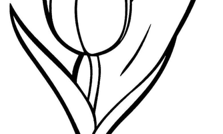 Rose Flower Coloring Page