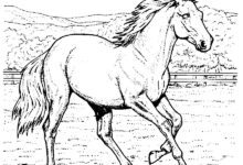 Running Horse and Landscape Coloring Pages
