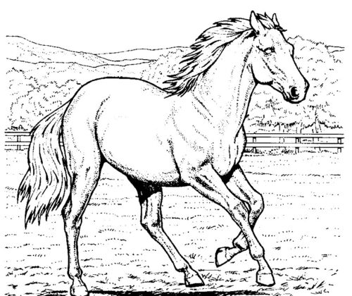 Running Horse and Landscape Coloring Pages