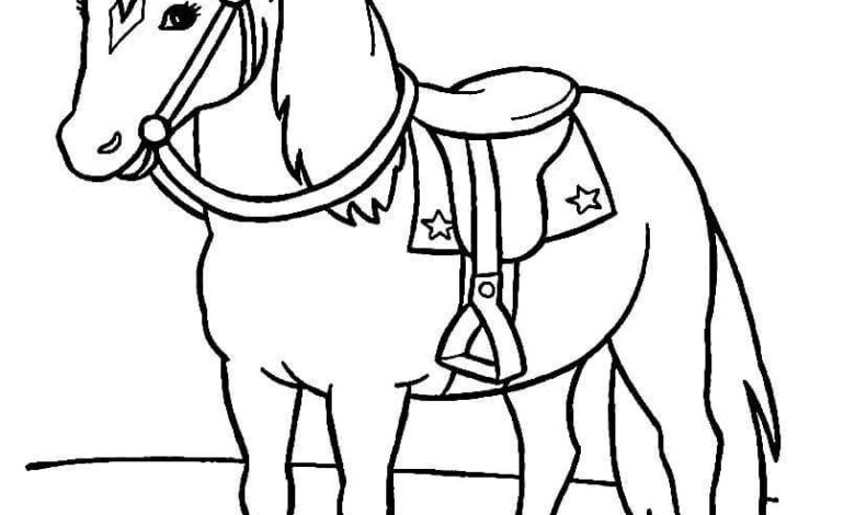 Saddle Horse Coloring Page