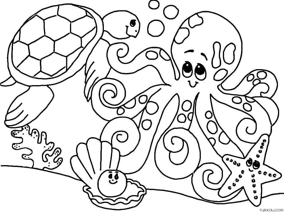 Sea Animals Coloring Page » Turkau
