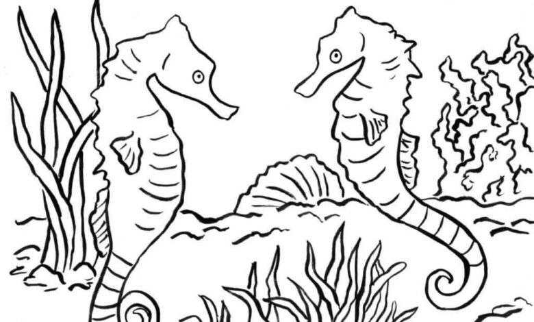 Sea Horse Coloring Page