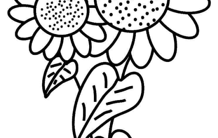 Sunflower Coloring Page