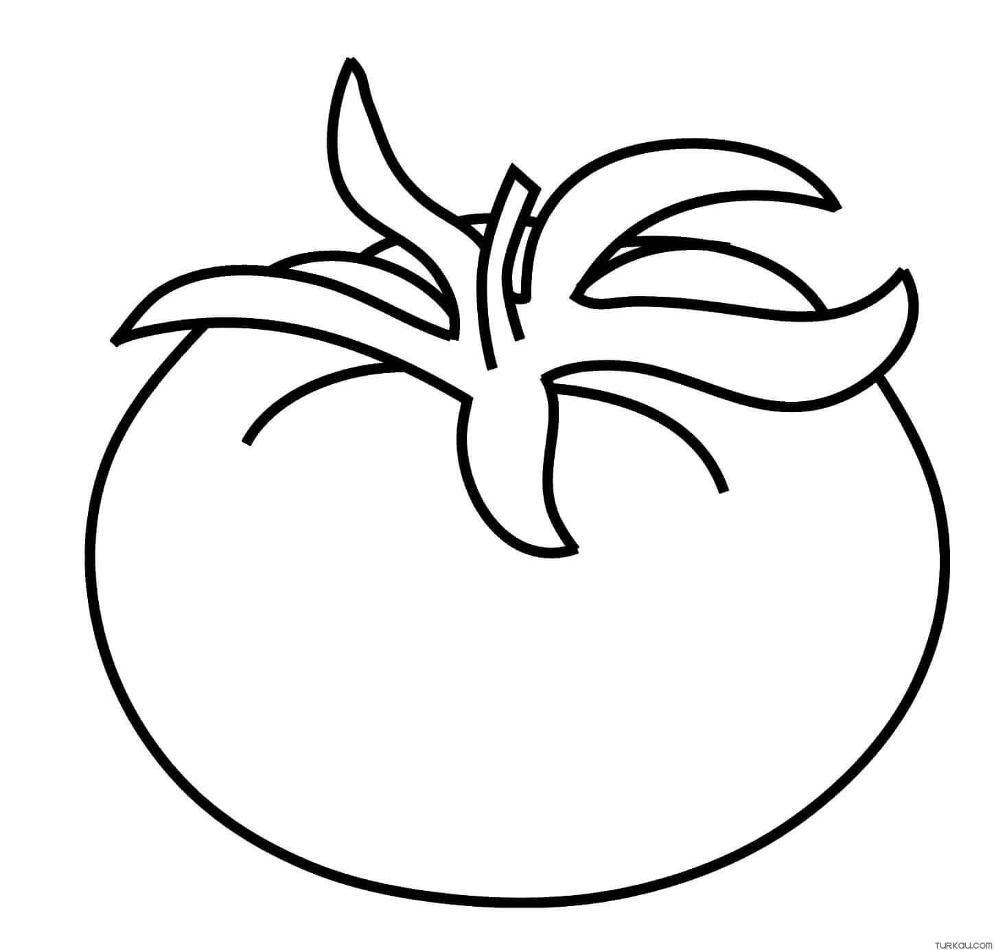Tomato Coloring Pages Tomato Coloring Pages