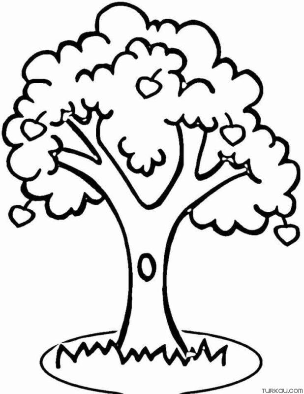 Tree Coloring Page Turkau