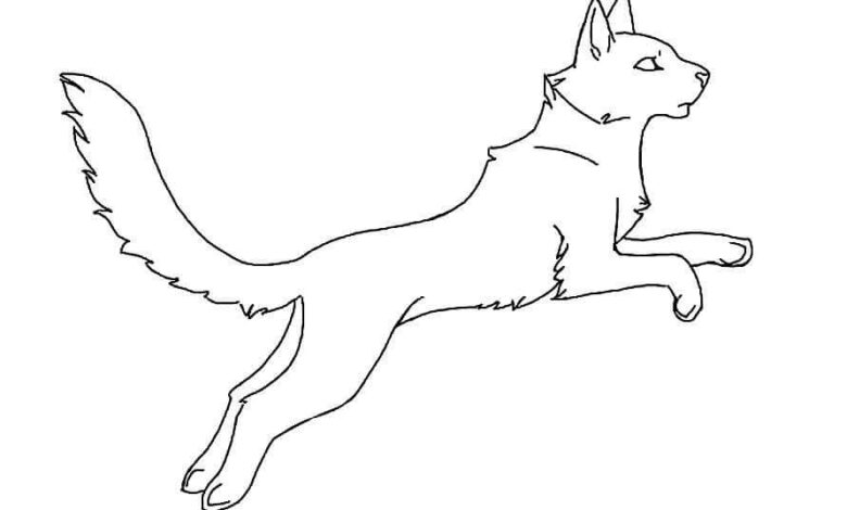 Warrior Cat Coloring Page