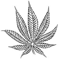 Weed Leaf Drawing Coloring Page For Adults