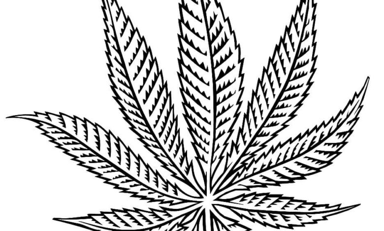 Weed Leaf Drawing Coloring Page For Adults