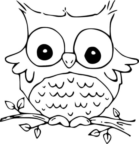 Cute Owl Coloring Pages