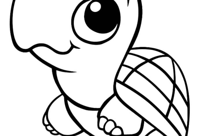 Cute Turtle Coloring Pages