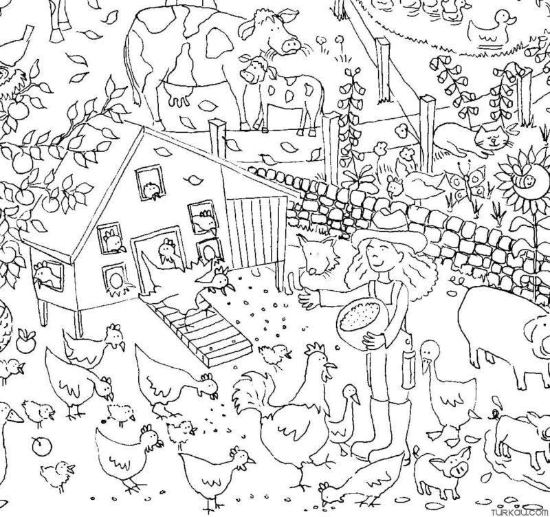 Cow, Duck, Cat, Chicken, Rooster Trees Coloring Page » Turkau