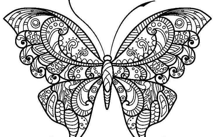 Aesthetic Butterfly Coloring Pages