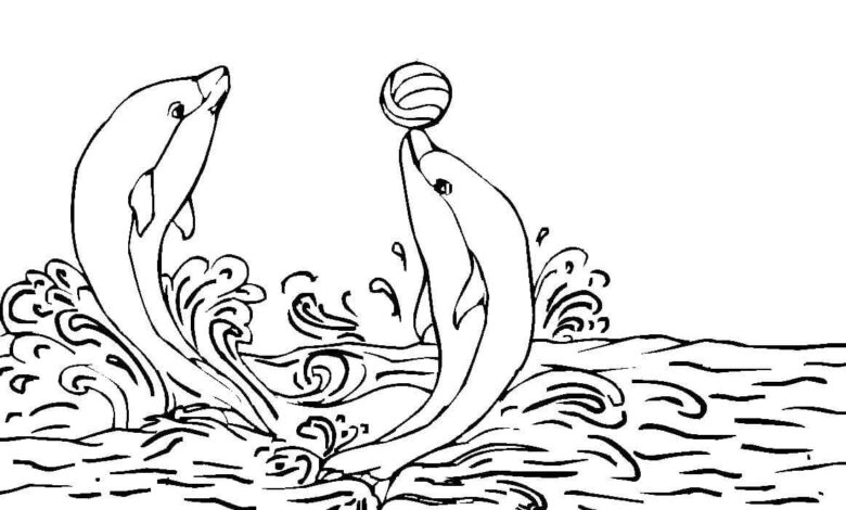 Ball Game Dolphins Coloring Page
