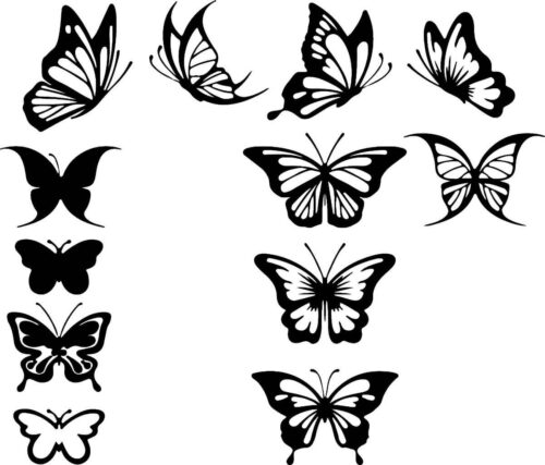 Butterfly Outline Coloring Page