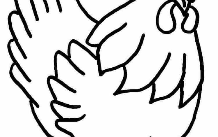 Chicken Colouring Coloring Page