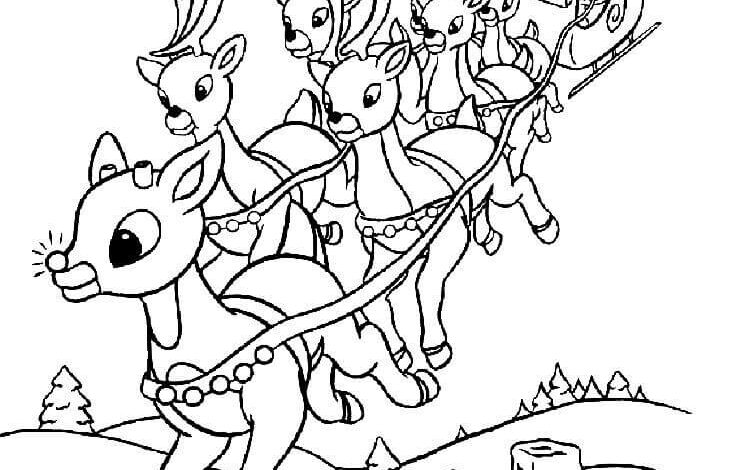 Cute Christmas Reindeer Coloring Page