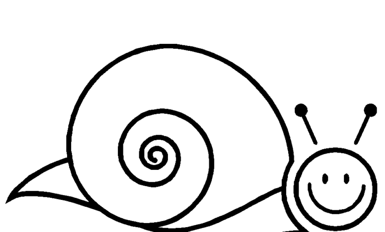 Cute Snail Drawing Coloring Page