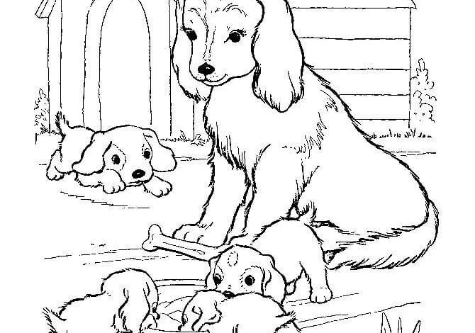 Dogs Coloring Pages