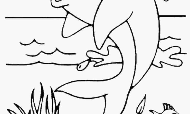 Glasses Dolphin Coloring Page
