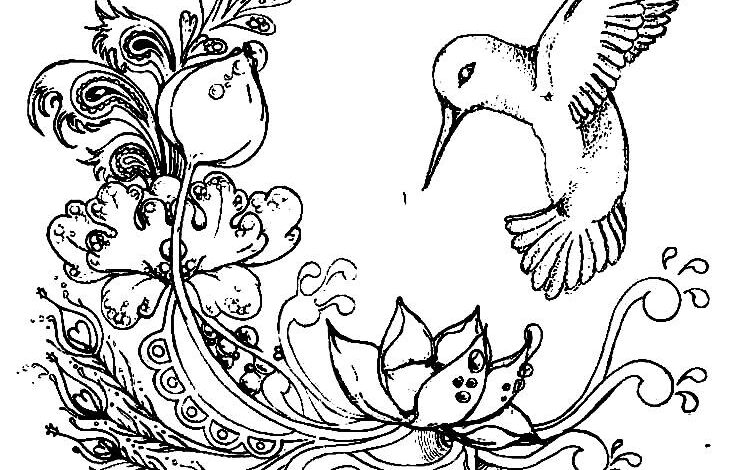 Gorgeous Bird Flower Coloring Page