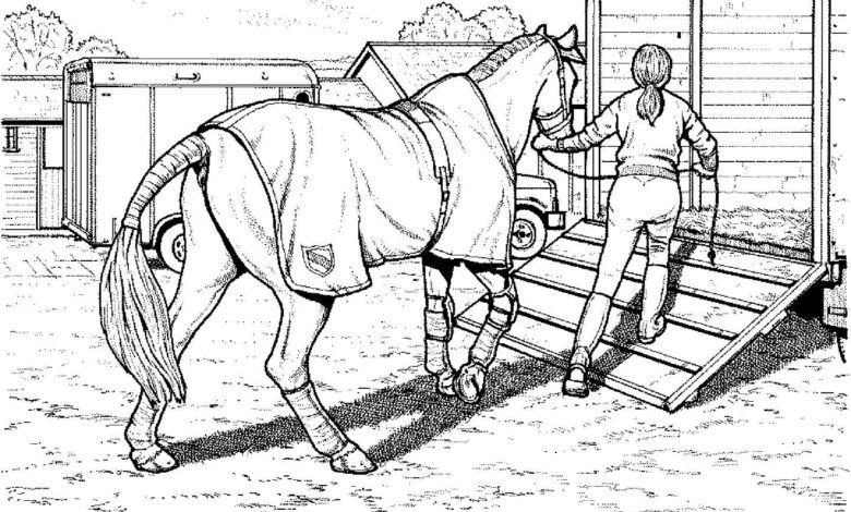 Horse Dressage Coloring Page