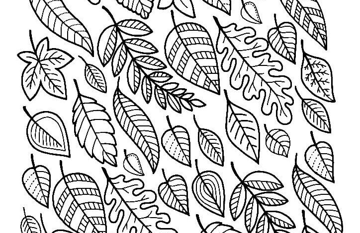 Leaf Patterns Coloring Page