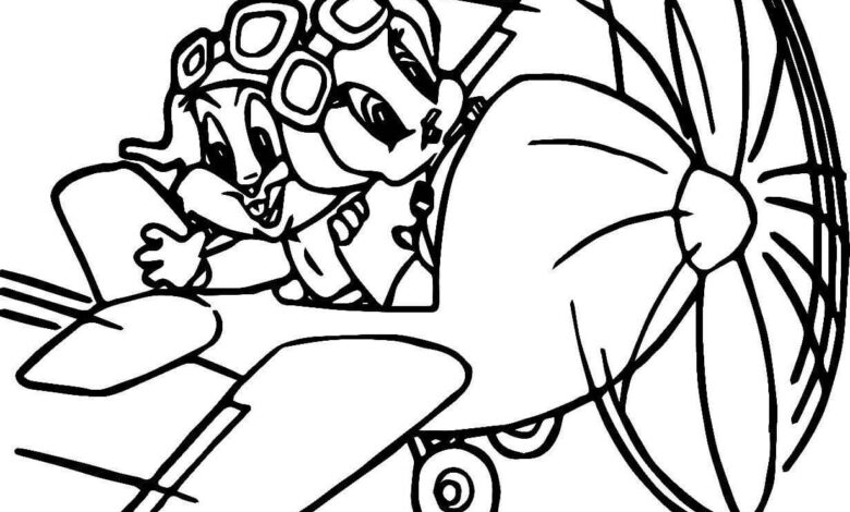 Looney Tunes Tweety Airplane Coloring Page