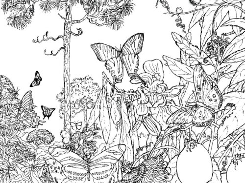Nature Coloring Page