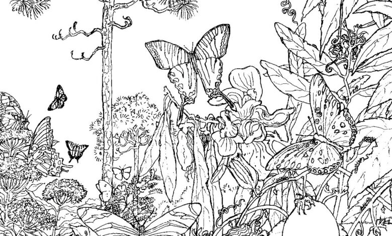 Nature Coloring Page
