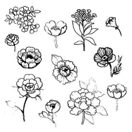 Small Flowers Drawings Coloring Pages