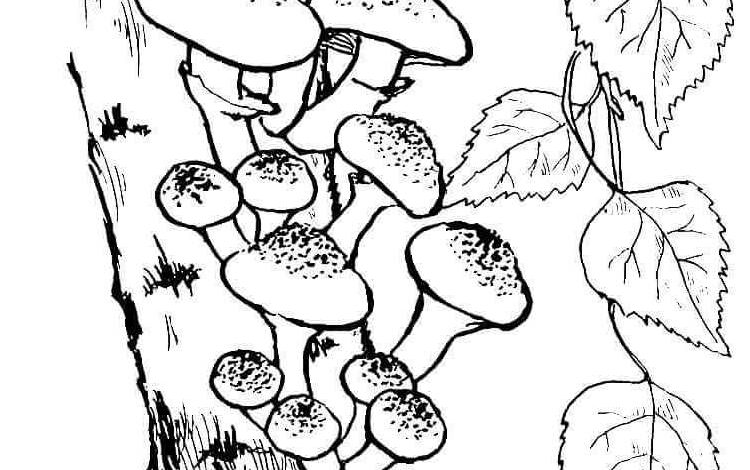 Tree Mushrooms Coloring Pages