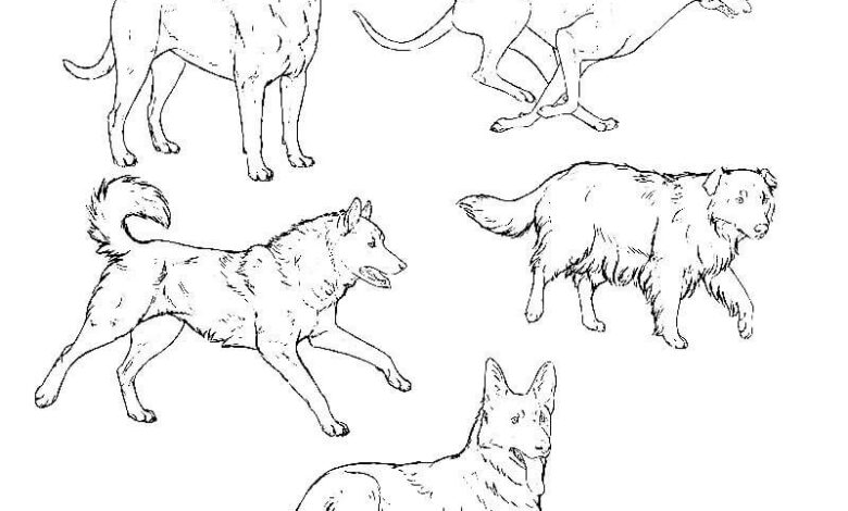 Various Dogs Coloring Pages