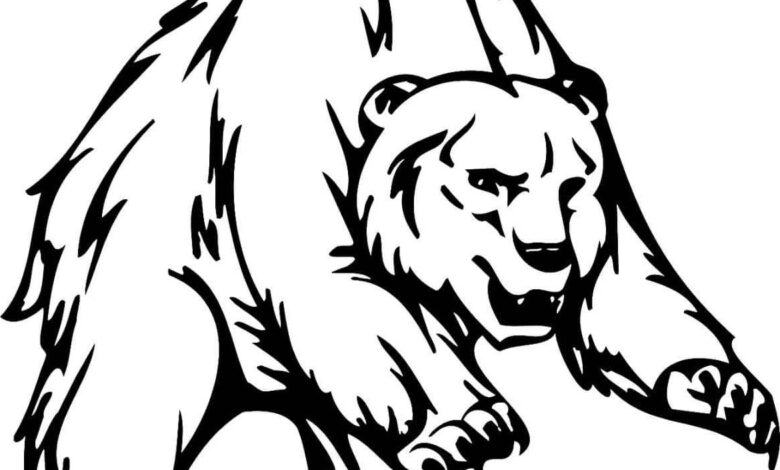 Wild Bear Attack Coloring Page