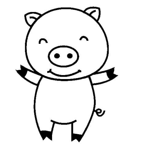 Animal Baby Pig Coloring Page