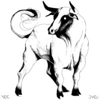 Animal Bull Coloring Page