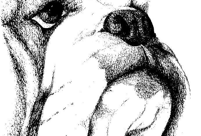Animal Bulldogs Coloring Page
