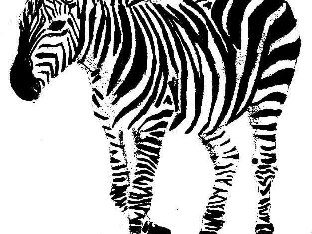 Animal Drawing Zebra Coloring Pages