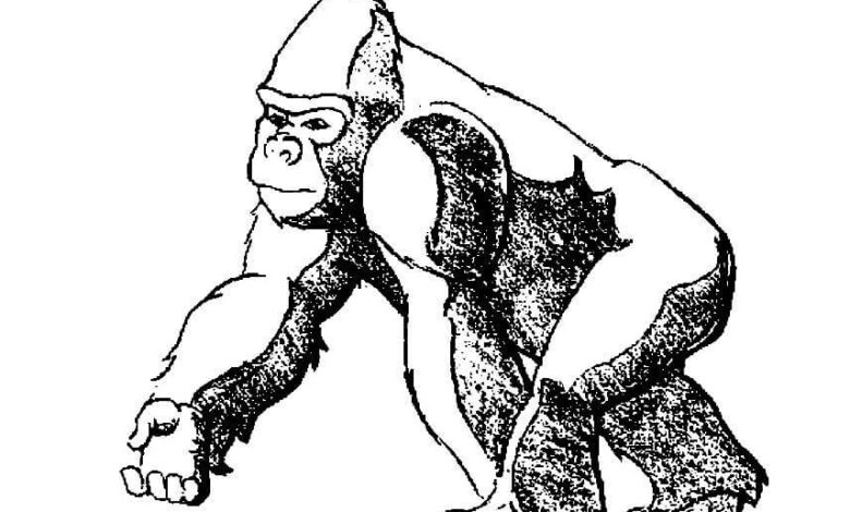 Animal Gorilla Coloring Pages
