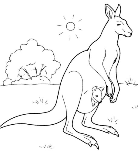 Animal Kangaroo Coloring Pages