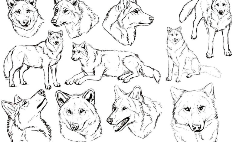 Animal Wolves Coloring Page