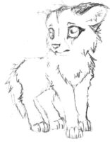 Anime Cute Wolf Drawings Coloring Page
